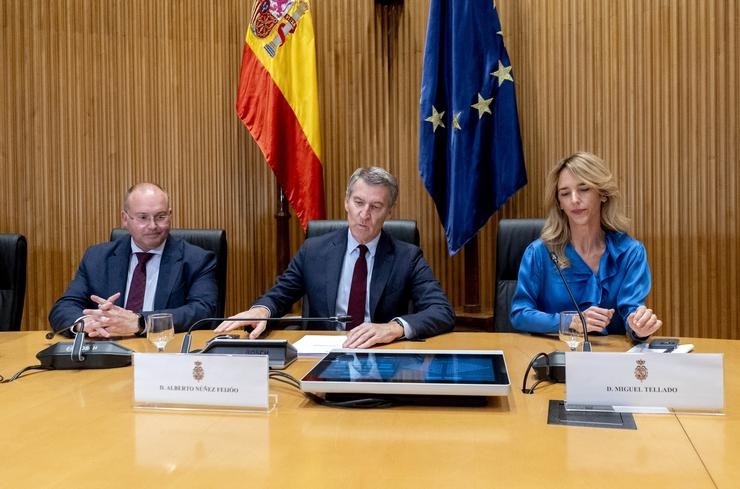 (I-D) O portavoz do PP no Congreso, Miguel Tellado; o líder do Partido Popular, Alberto Núñez Feijóo, e a deputada do PP, Cayetana Álvarez de Toledo, durante unhas xornadas no Congreso dos Deputados / Alberto Ortega - Arquivo
