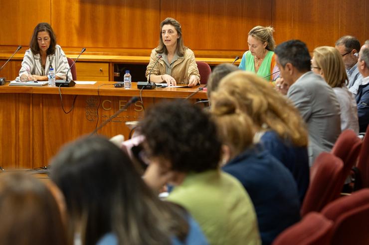 A conselleira de Medio Ambiente, Anxos Vázquez, no Consello de Medio Ambiente. XUNTA 