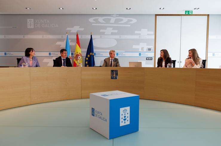 O presidente da Xunta, Alfonso Rueda, preside a rolda de prensa do Consello. DAVID CABEZÓN 