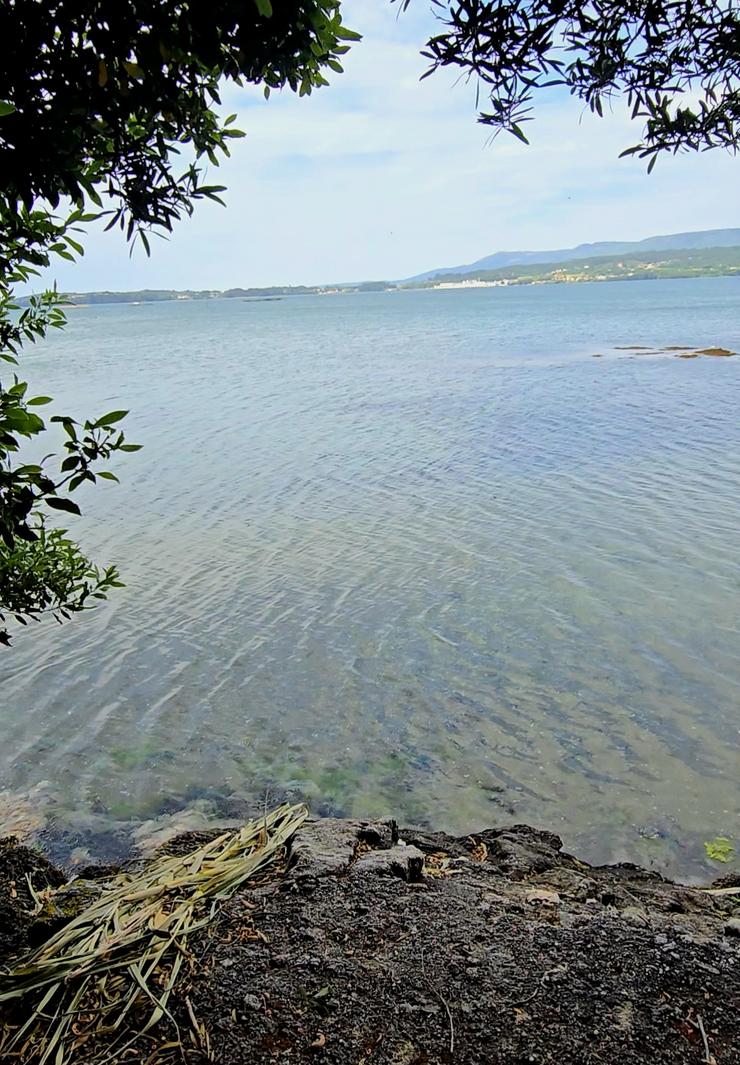 Marabillosa praia nun vila da ría de Arousa / GC
