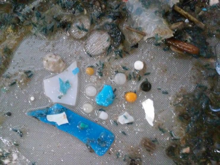 Mostra de microplásticos achados nos nosos océanos 