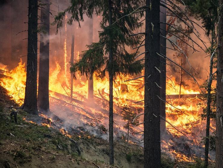 Incendio forestal 