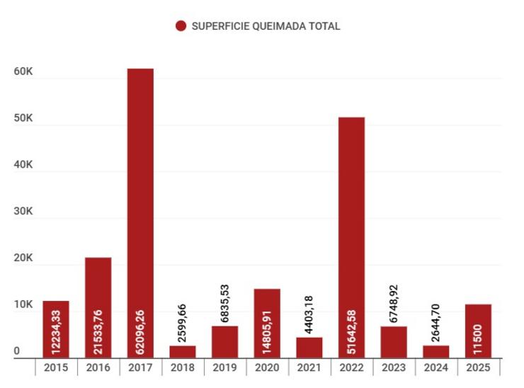 Superficie queimada polos incendios forestais rexistrados na última década en Galicia 