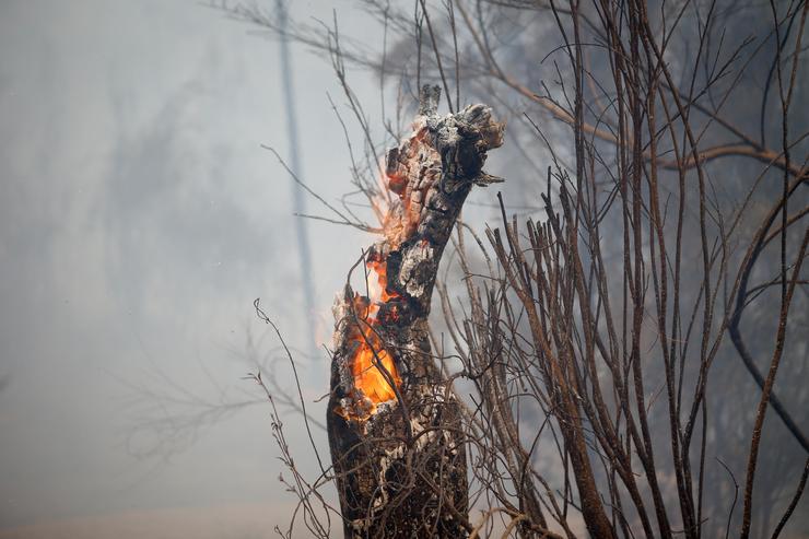 Incendio forestal.. Carlos Castro - Europa Press