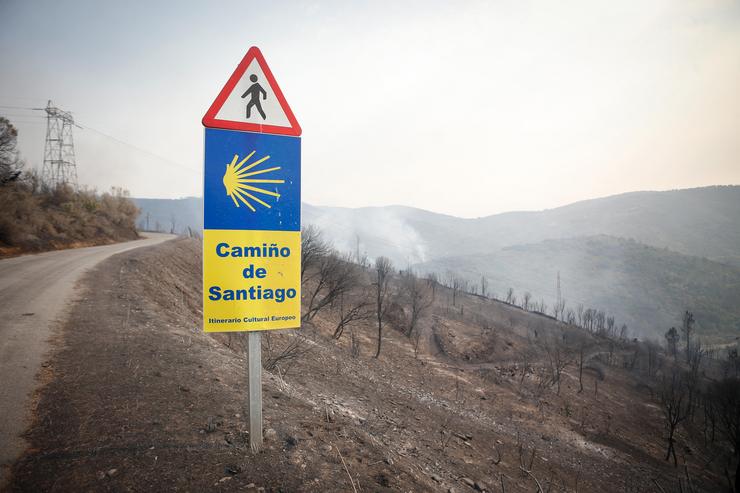 Zona calcinada tras o paso do incendio forestal, a 17 de agosto de 2025, en Quiroga, Lugo. Carlos Castro - Europa Press 