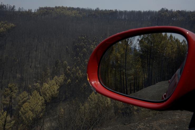 Vista tras o incendio nos montes de Cernego, a 19 de agosto de 2025, en Villamartín de Valdeorras, Ourense, Galicia (España).. Rosa Veiga - Europa Press / Europa Press