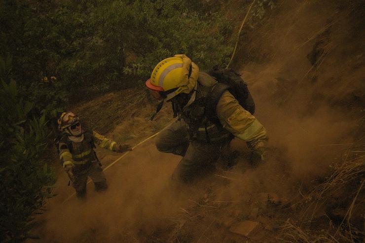 Varios bombeiros forestais tratan de extinguir un lume 