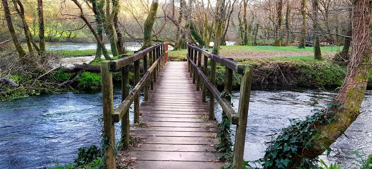 A auga en Galicia, un ben prezado que debemos coidar 