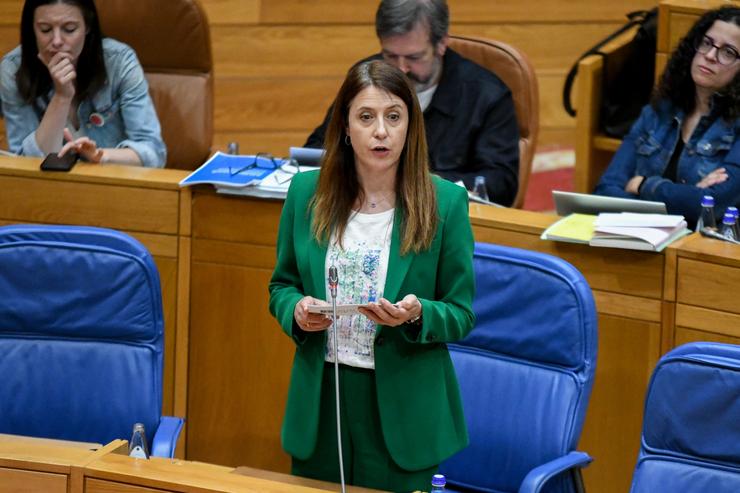Arquivo - A conselleira do Medio Rural, María José Gómez, durante un pleno.. Xunta de Galicia - Arquivo