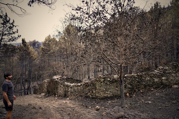 José Antonio Pazos vendo como quedou a súa alvariza tras o pazo do voraz incendio que calcinou os montes de Souteliño 
