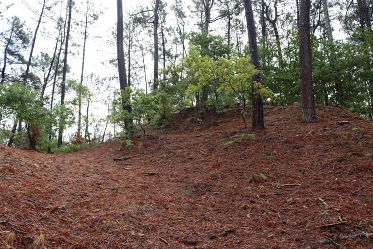 Escavación arqueolóxica na fortaleza das Torres en Tomiño (Pontevedra). FORTALEZAS DÁ FRONTEIRA 