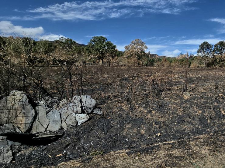 Leira incendiada polas pavesas en Souteliño (Laza) 