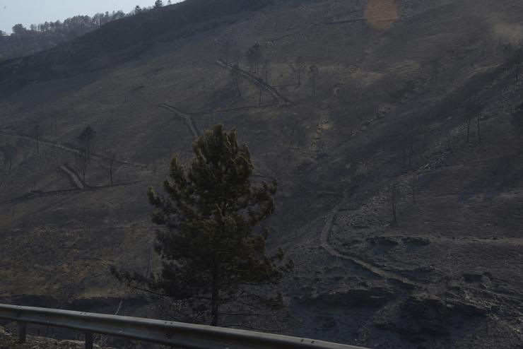 Vista tras o incendio en San Vicente de Leira, a 19 de agosto de 2025, en Villamartín de Valdeorras, Ourense, Galicia (España). O incendio que permanece activo no municipio ourensán de Larouco, que cruzou o Sil por varios puntos ata pasar ao prol. Rosa Veiga - Europa Press / Europa Press